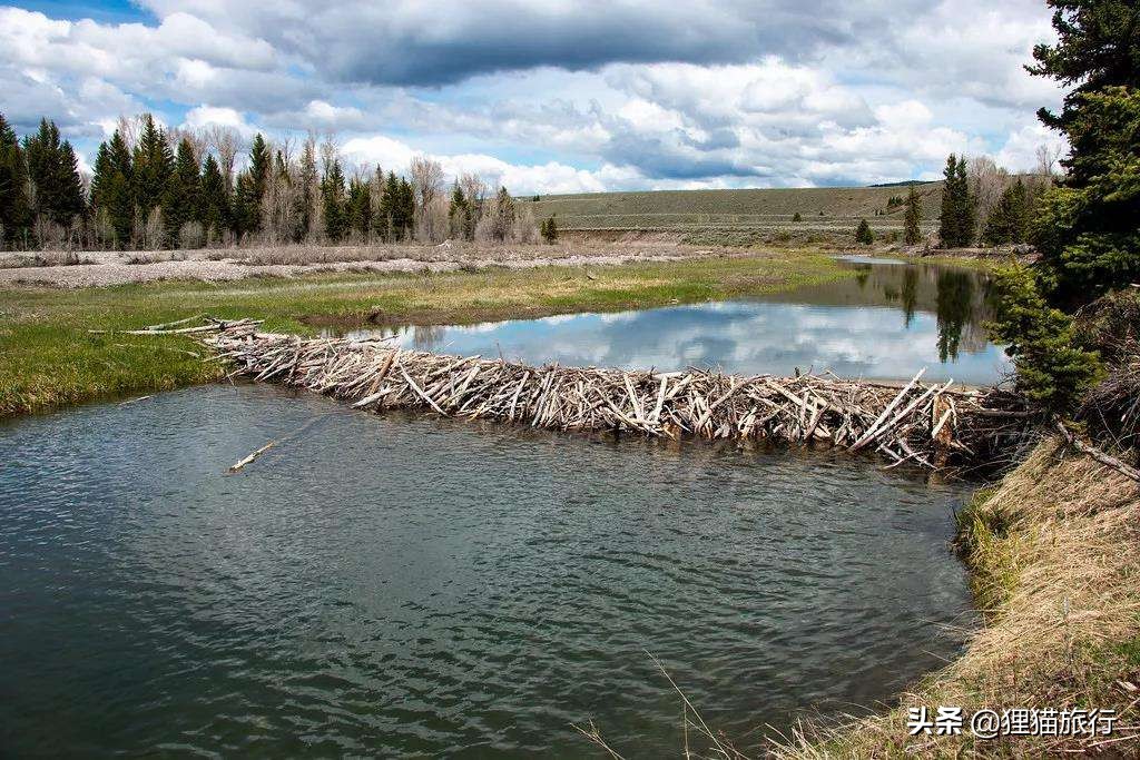 新疆的阿勒泰青河县,阿勒泰的角落哪里能看到
