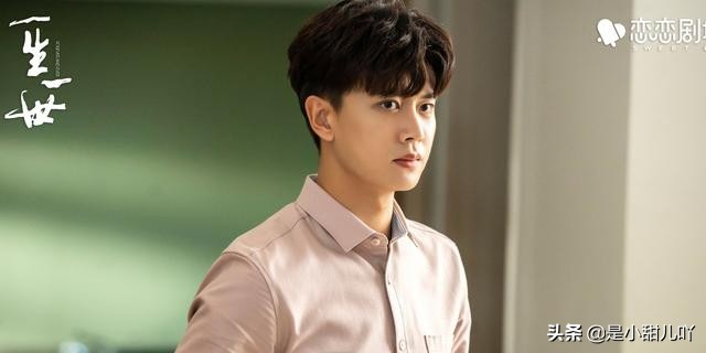 一生一世的评价,一生一世电视剧的深度解析