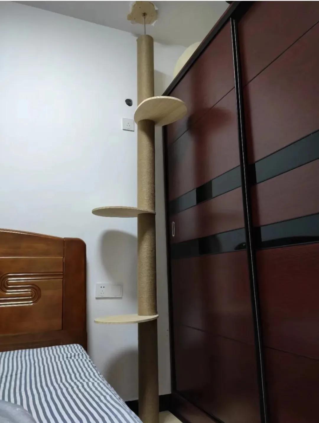 有宠一族必看：啥家庭条件呀，好几万的沙发随便毁？