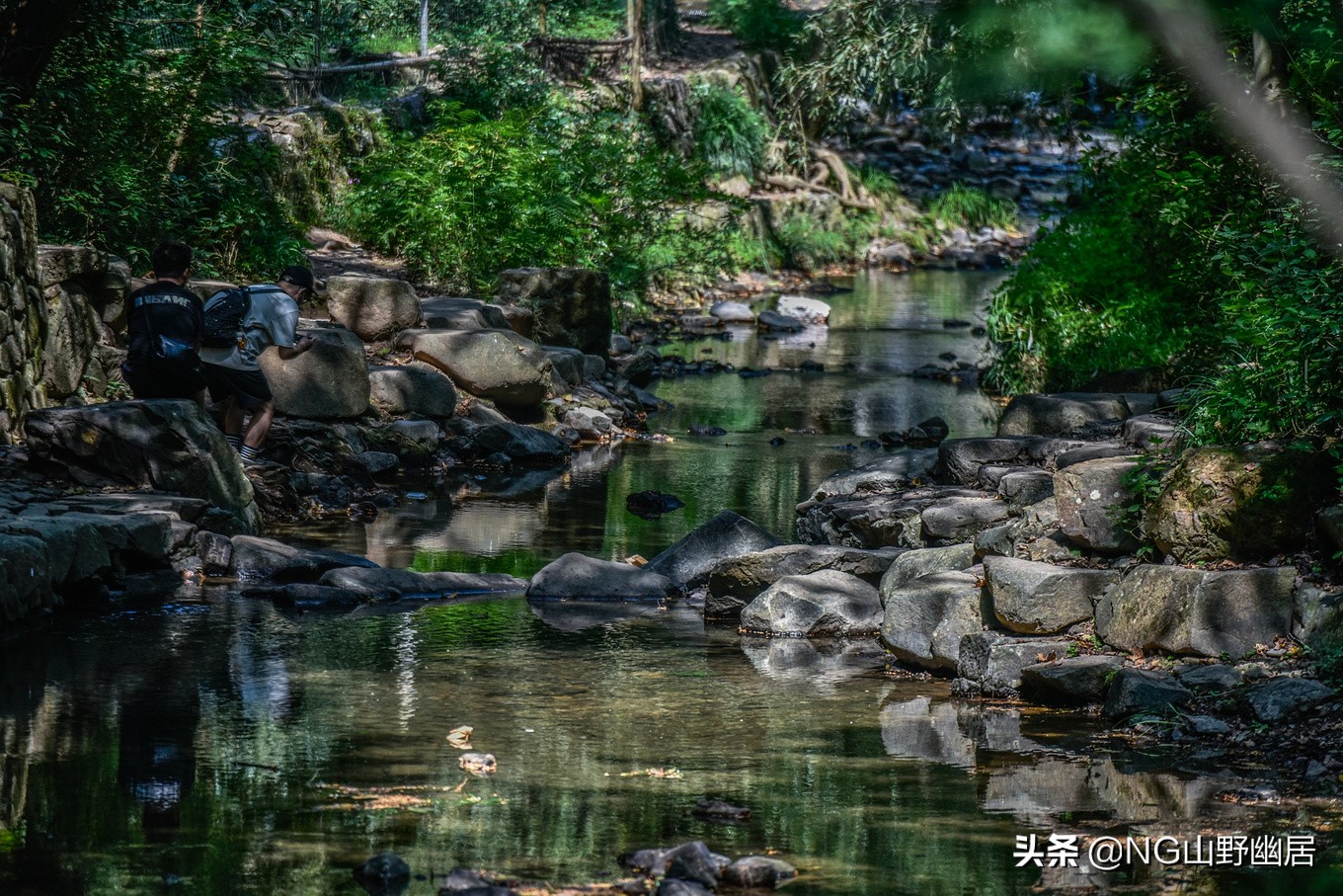 杭州九溪秋色最佳时间,杭州西湖九溪秋天几月份好看