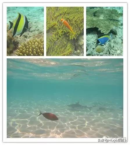 到毛里求斯旅游行程,冲绳到塞班