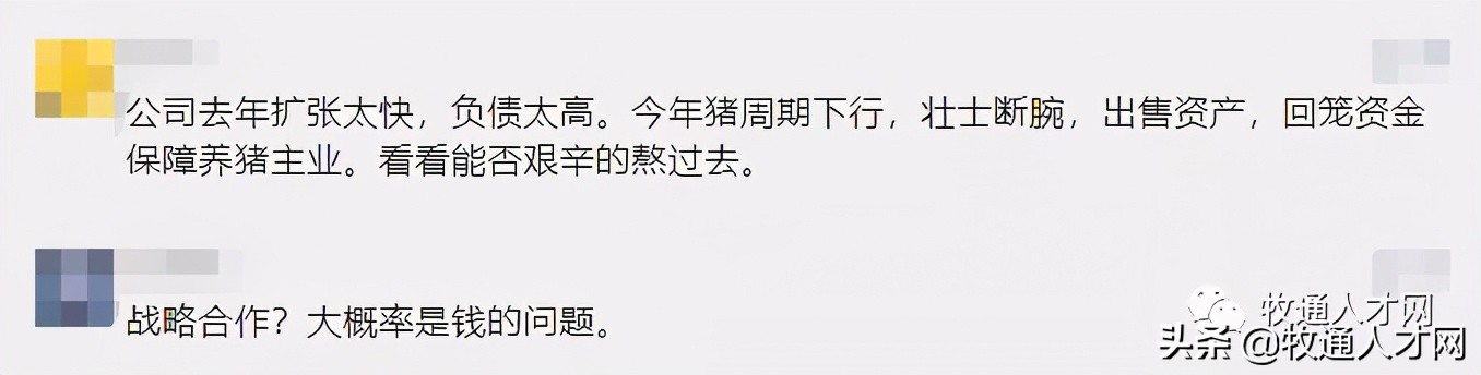 天邦食品负债多少亿,通威与天邦合作有什么好处