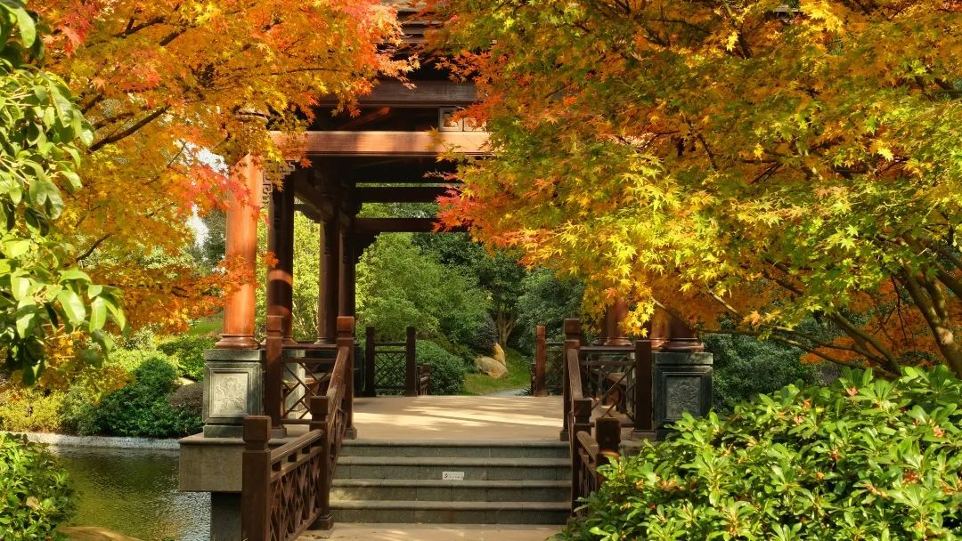 深秋回暖，安排！沪上各区的深秋美景，你准备好打卡了吗？