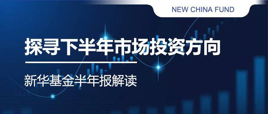 解读最新消息分析板块投资逻辑,投资市场新趋势研判分析