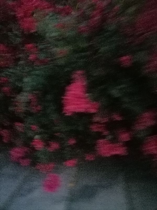 人生莫要太贪心,做人要有野心但不要有贪心