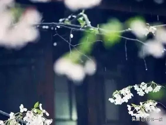 南怀瑾谈做人要认真,南怀瑾为人处世经典语录