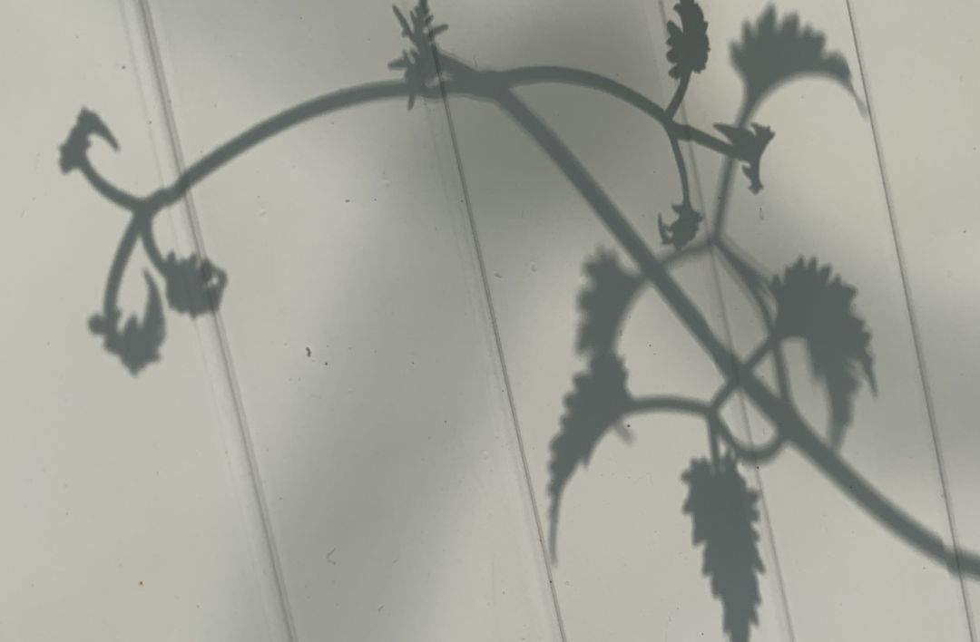 宅家还不逛淘宝？低价格、高格调好物，链接直给，买就完了