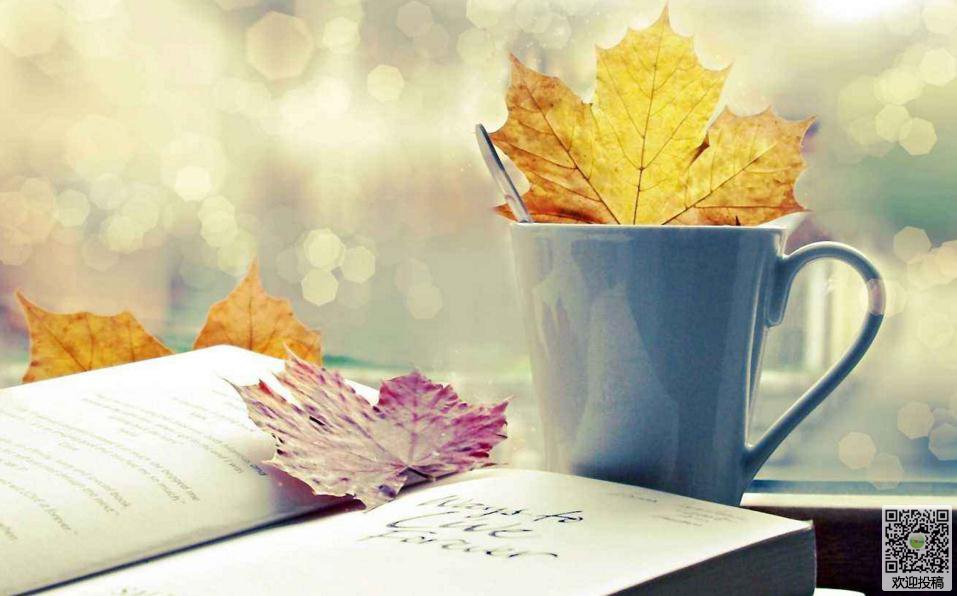 六年级式与方程的知识点总结,五年级字母表示数知识点总结