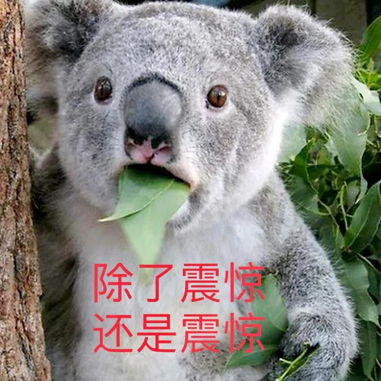 普法:江西53岁大爷被性侵案,刑法修正案九实施前后的代表性案件