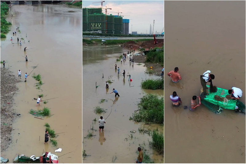 翘嘴泛滥成灾邀请各地钓友,水库开闸放水引来捞鱼大军