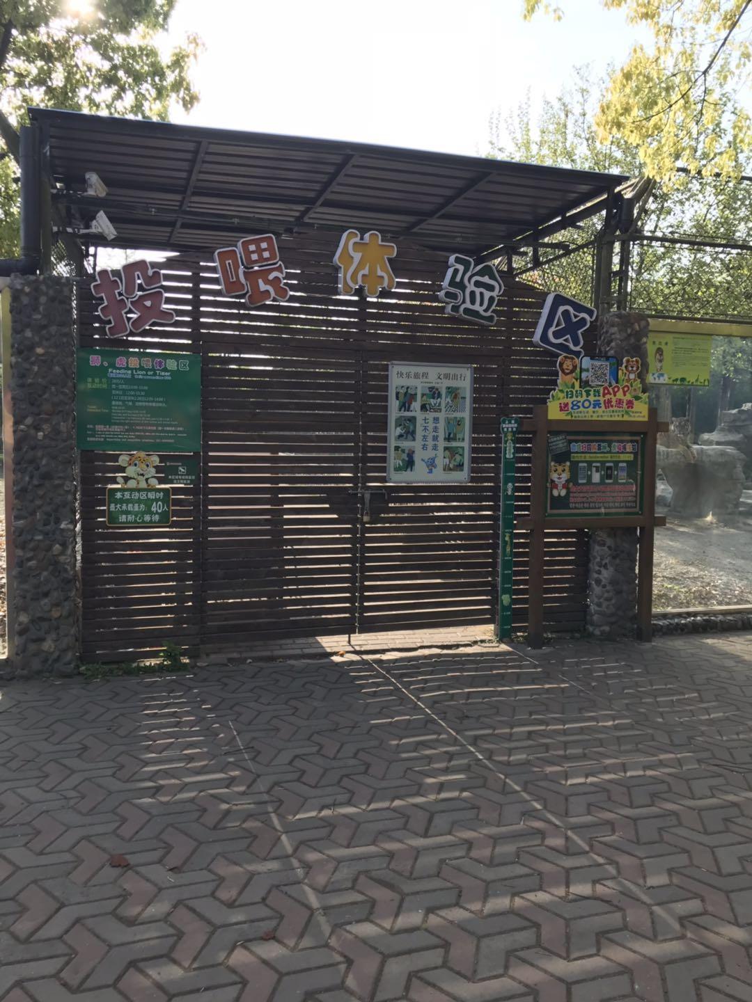 上海野生动物园太阳广场节目安排,上海野生动物园建议游玩时间