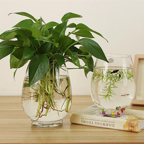 养花选花盆很重要,什么样的花盆好看又好养