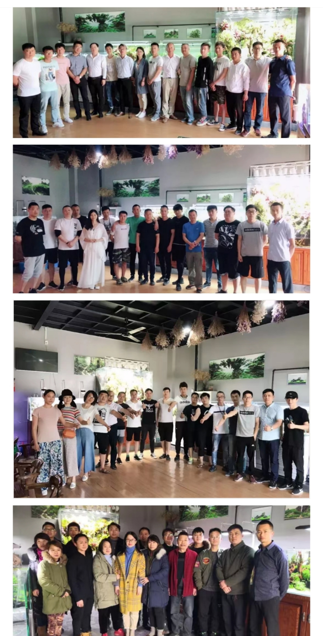 本色水景|教你认识——常见莫斯品种！水草造景学习