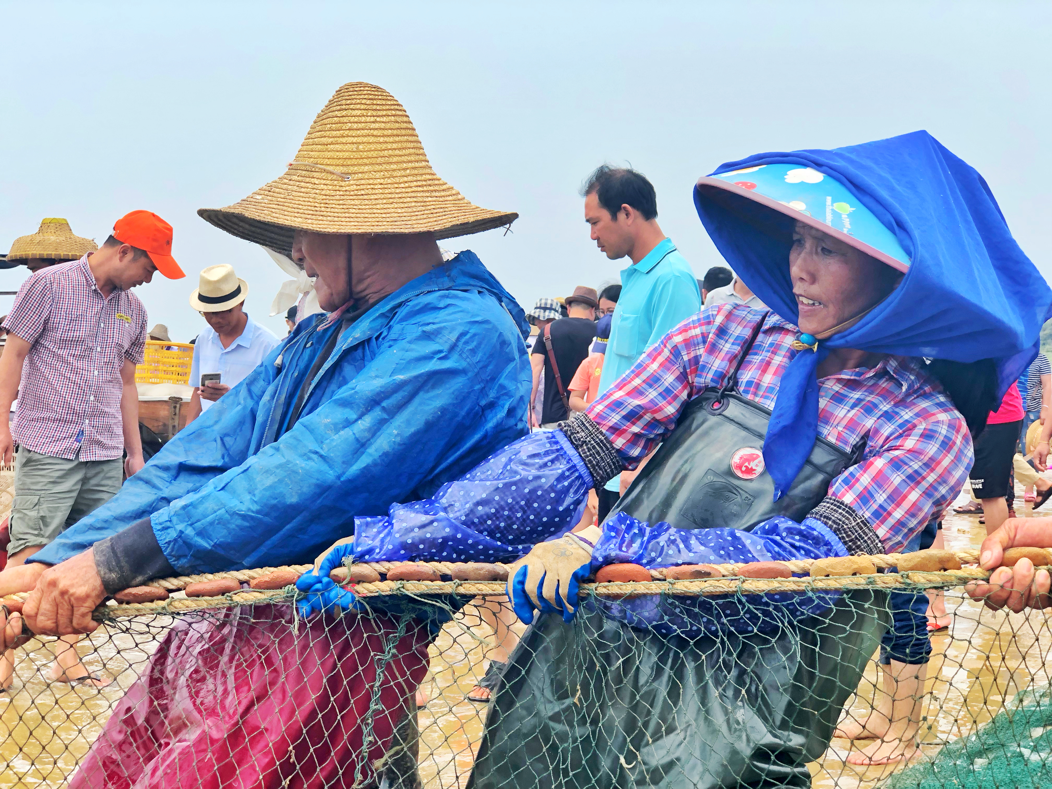 吴阳拉大网后续,吴阳直播海鲜