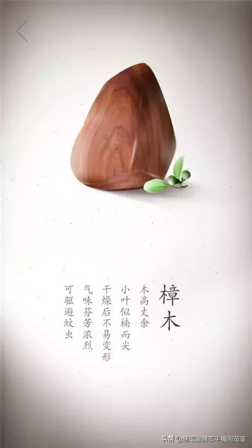 酷币了！17张珍贵木材高清写真