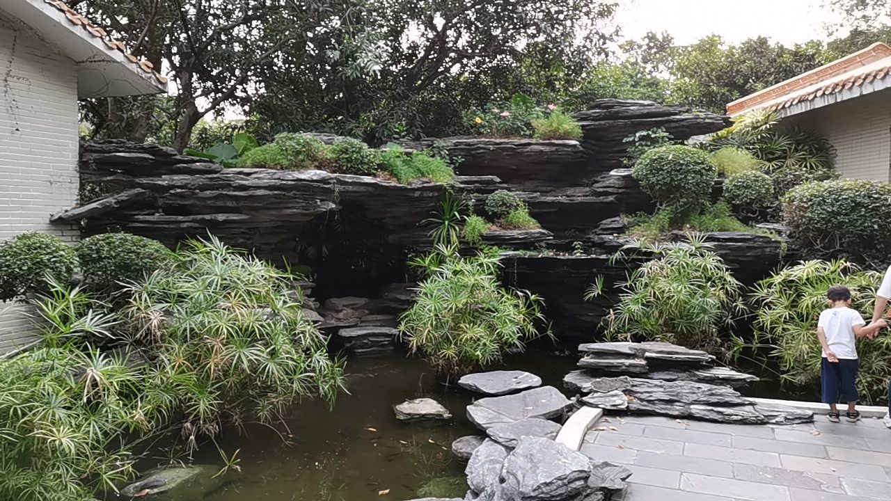 荔枝公园深圳,深圳第一公园荔枝公园