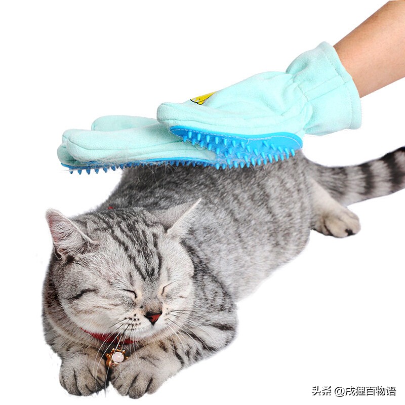 猫咪掉毛的原因有哪些,猫咪脱毛一坨一坨的掉是怎么回事