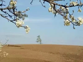 每个人记忆中的姥姥,你们记忆中的姥姥是什么样的