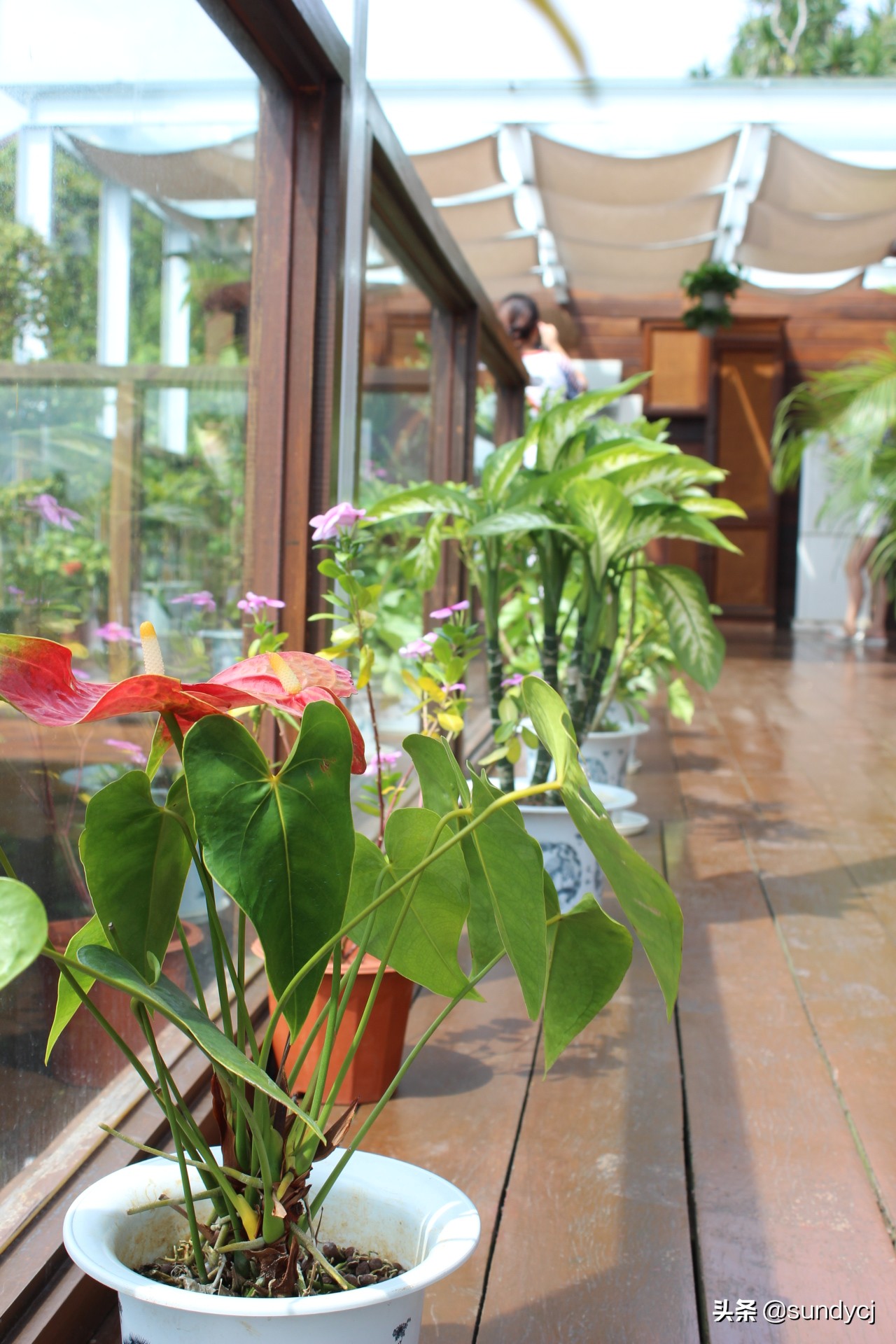 小奔奔,长安新能源奔奔自驾游西藏