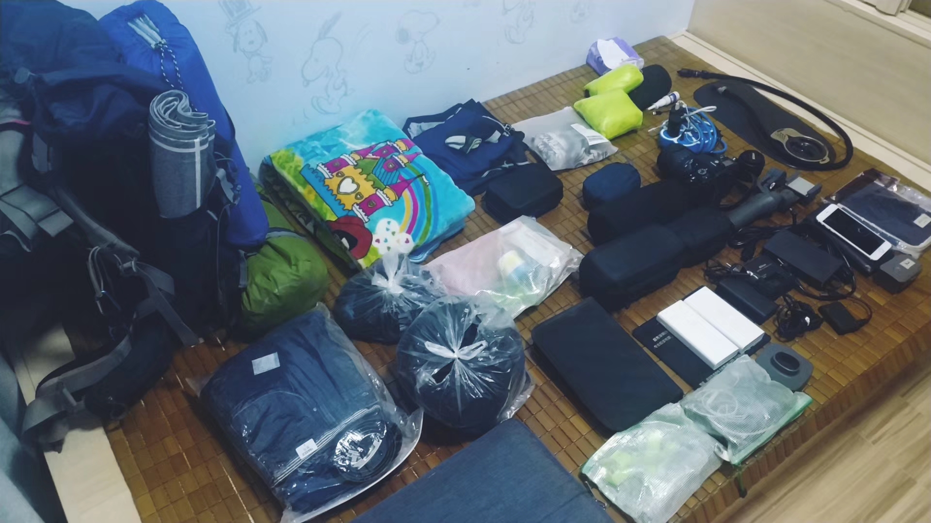 丧尸来了真的没有办法吗,丧尸真的要来了吗