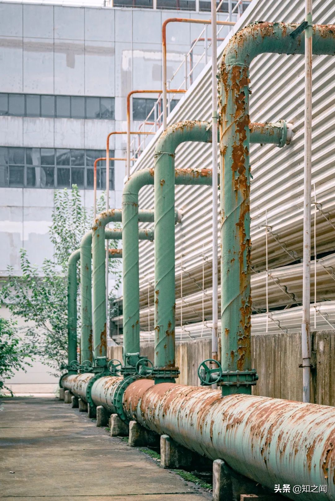 中国车谷，别低调了！你真的很OK