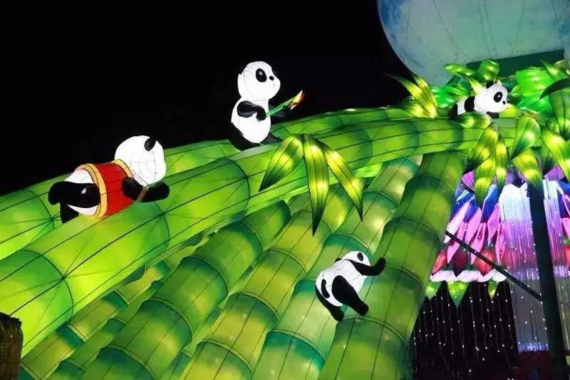 熊猫来永庆坊,鹰潭大熊猫