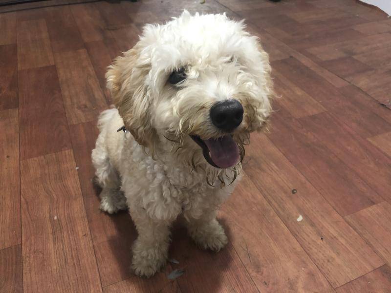 当年在鹤岗买房子的年轻人,在鹤岗买房的小伙