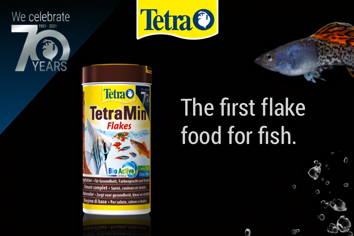 德彩水族旗舰店,德彩水族怎么样