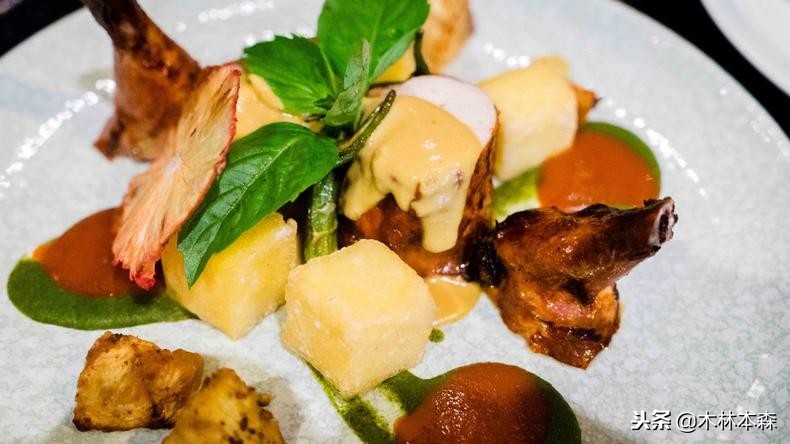 加拿大多伦多生活日记,加拿大多伦多留学生活纪实