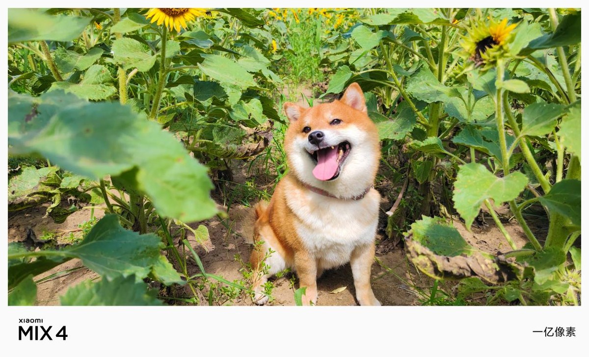 小米mix4王者荣耀怎么开120帧,小米mix4前置摄像头微信视频效果