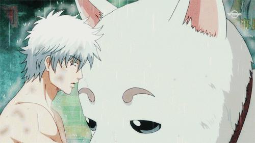 风险提示的内容,风险提醒是真的吗