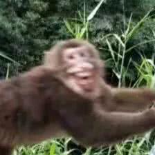 盘点那些明星拍的魔性广告,盘点明星拍过最尴尬的广告