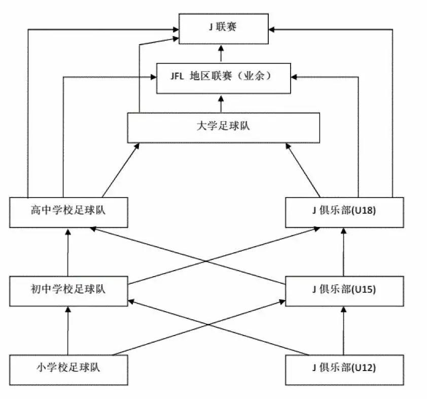 足球从娃娃抓起,足球从娃娃抓起原视频