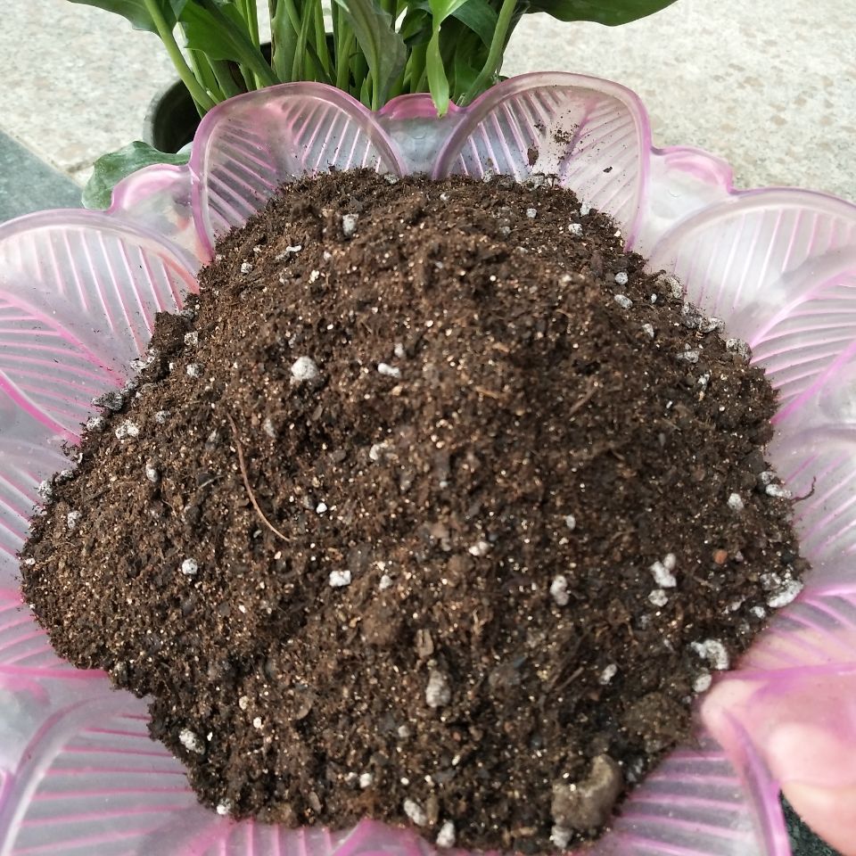 养花土一般用什么土比较好,家庭专用养花土