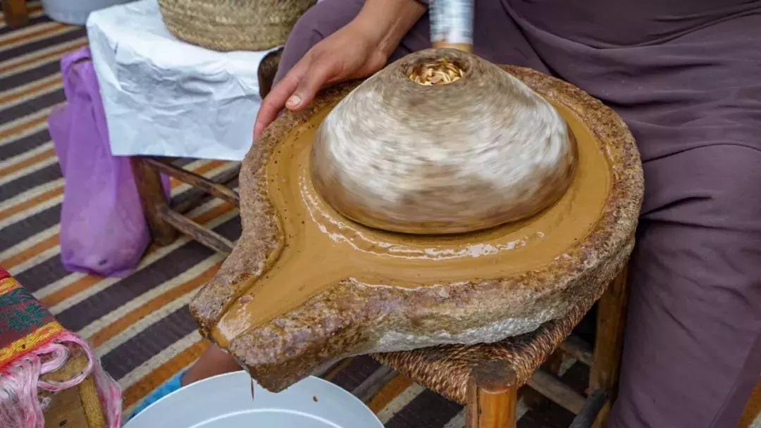 环球旅行我学会了什么,环球旅行一年