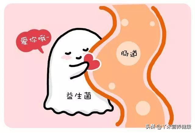 女性健康私护用药益生菌,女士益生菌守护女士肠道健康