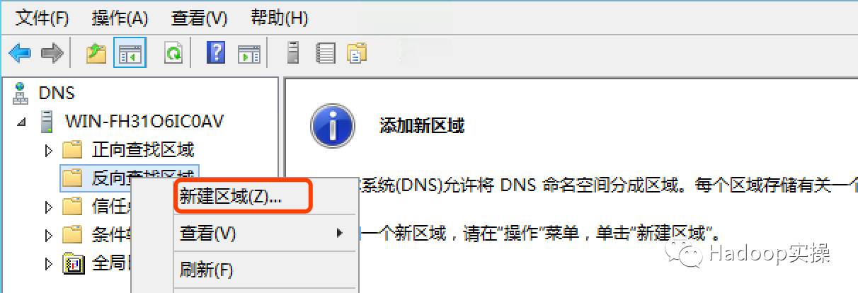 winserver2012dns服务查询,windows如何搭建虚拟dns服务器