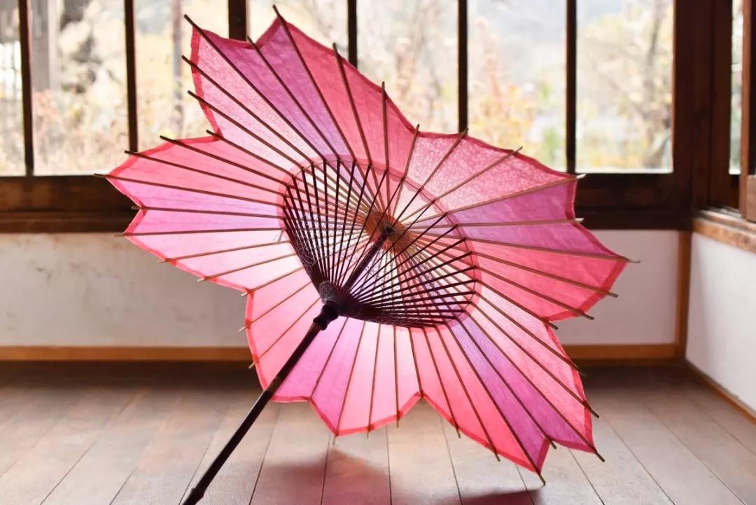为英伦女神而生，20万日元一把的“樱和伞”，发售一小时就被抢光