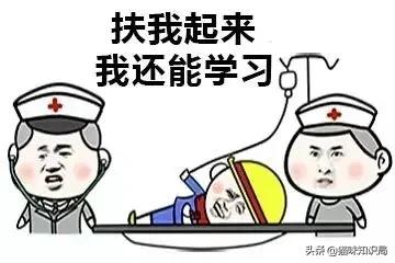 给父母养狗养什么样的,给家里养猫的好处