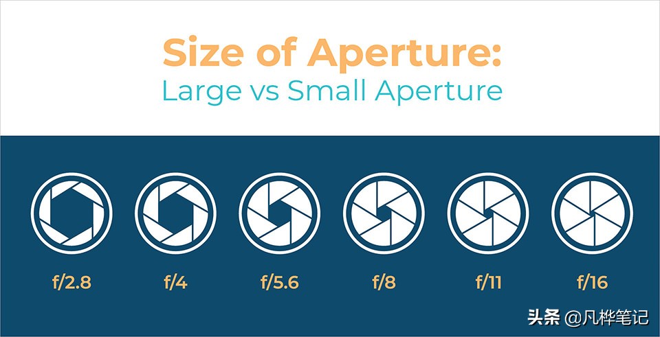 学习摄影入门画质,学习摄影有哪些常识