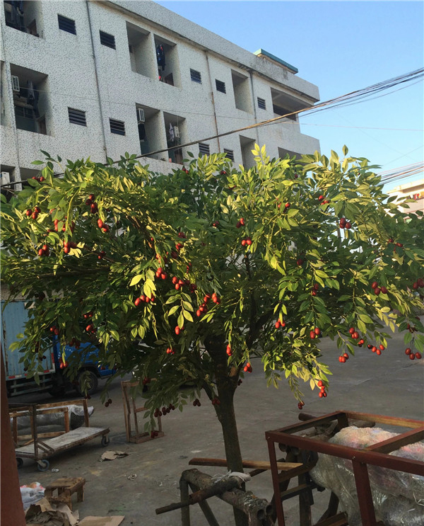 农村后院适合种啥树,家里种哪五种树可以旺家多子多福