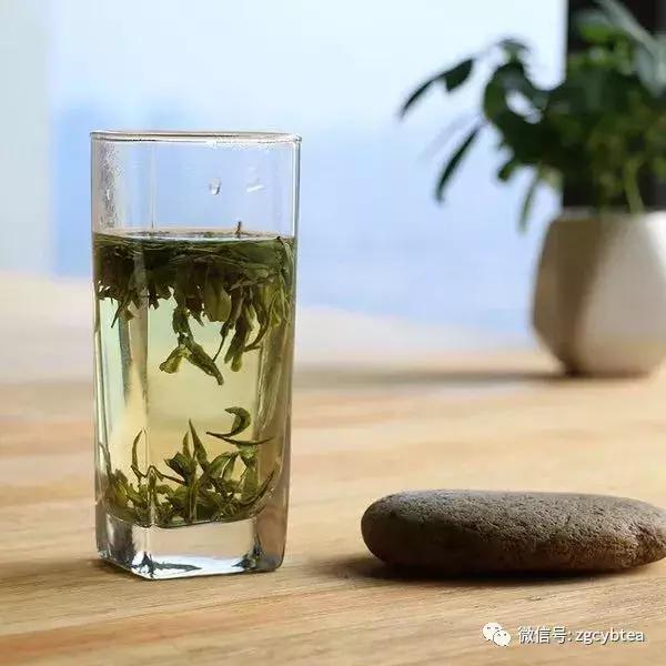 年年春茶你都在追，却从未真正喝懂绿茶？看完这个你就懂了！