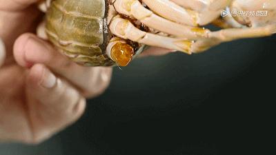 一个男人嘴特馋好不好,男人老是馋肉怎么回事