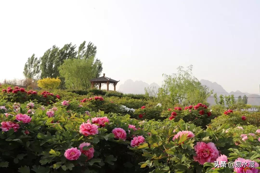 易县好玩,易县谢村文化广场五一