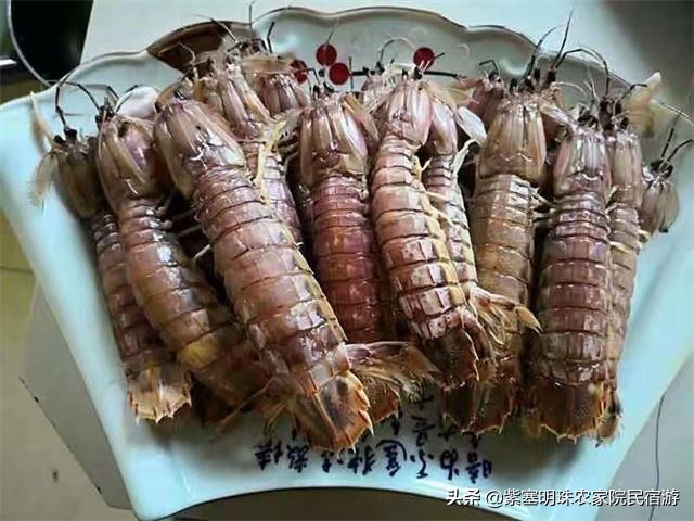 海王九岛度假村选择海旭度假村,辽宁海王九岛