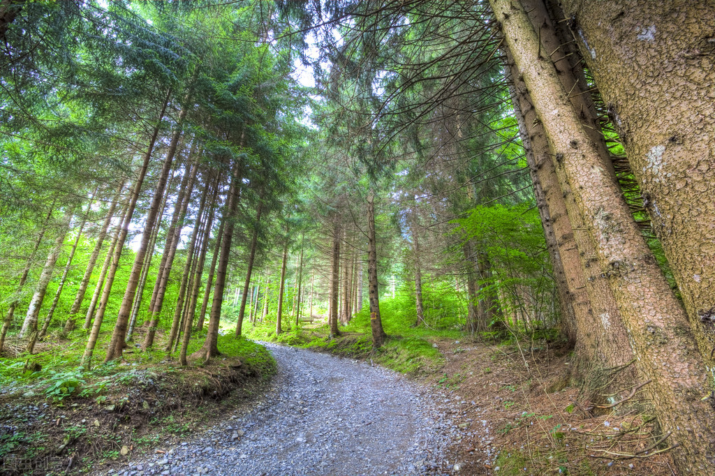 半夜醒来发现床上有一条小蛇,晚上看到一条蛇小说