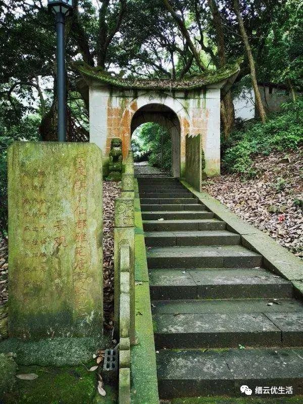 雅宅苦槠豆腐,雅宅苦槠腐