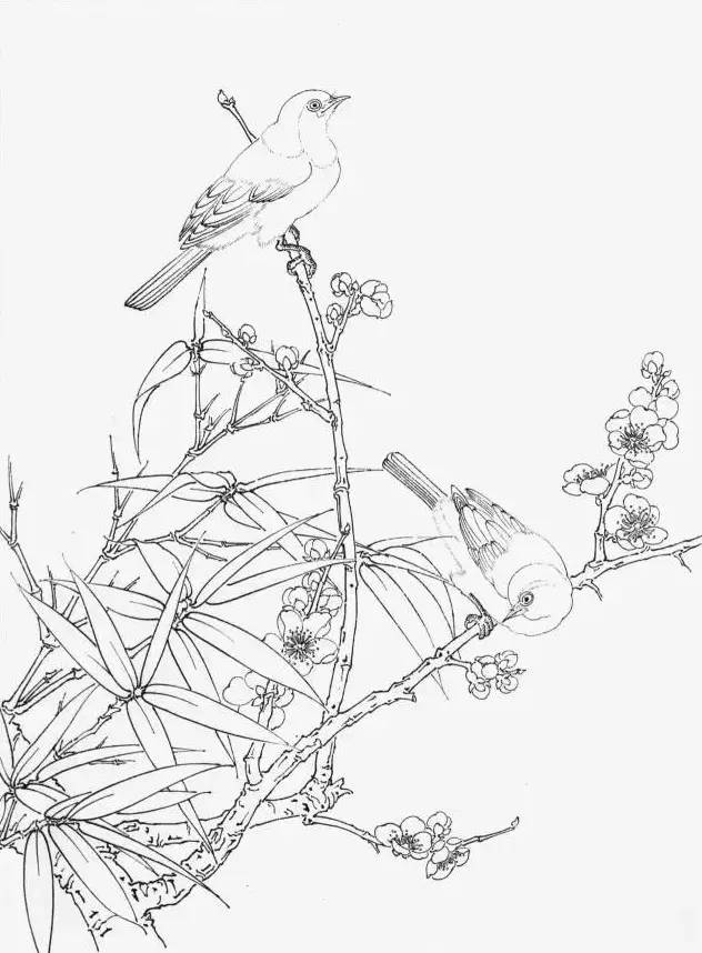 工笔梅花的分染上色教程,工笔梅花的10种设色技法收藏起来