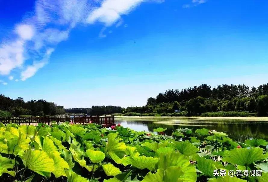 天津蓟州必去十大免费景点,天津免费的旅游景点