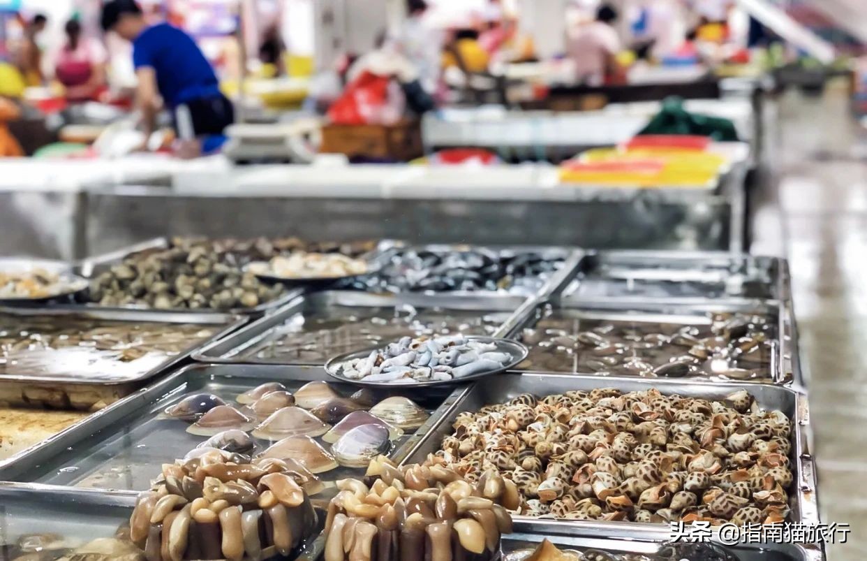 夏天去哪个海边吃海鲜最合适,适合吃货去的海边城市